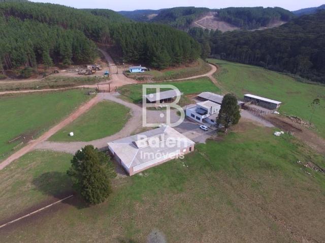 Sítio e chácara venda em Cambará do Sul, Região Geográfica Intermediária de Caxias do Sul