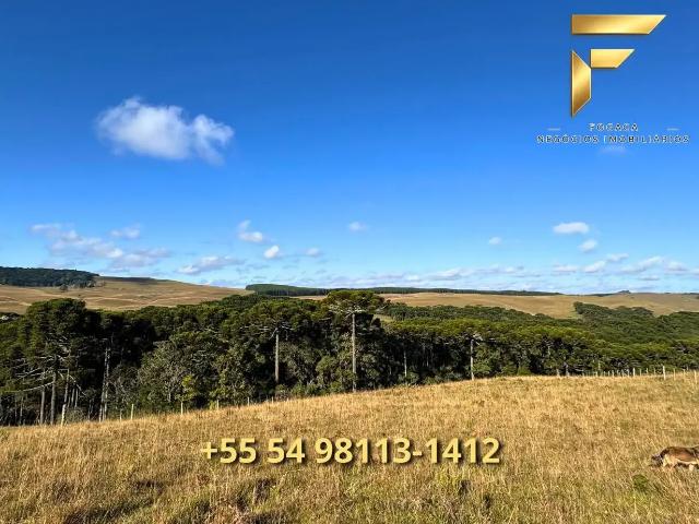 Sítio e chácara venda em Região Geográfica Imediata de Caxias do Sul, Cambara do Sul