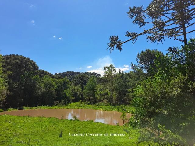 Sítio e chácara venda em Região Geográfica Imediata de Caxias do Sul, Cambara do Sul
