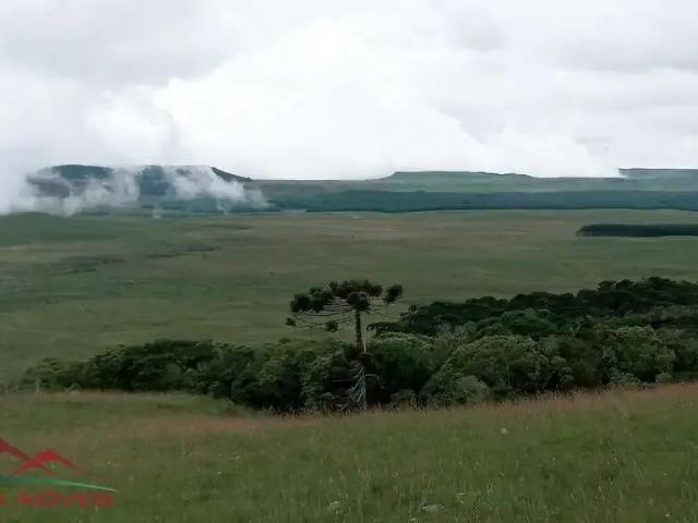 Sítio e chácara venda em Região Geográfica Imediata de Caxias do Sul, Cambara do Sul