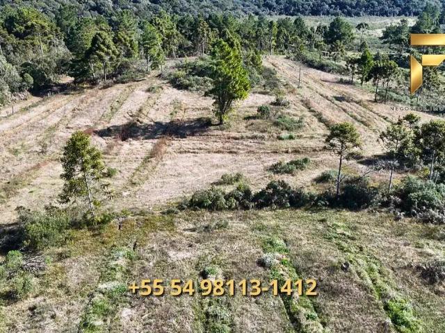 Sítio e chácara venda em Região Geográfica Imediata de Caxias do Sul, Cambara do Sul