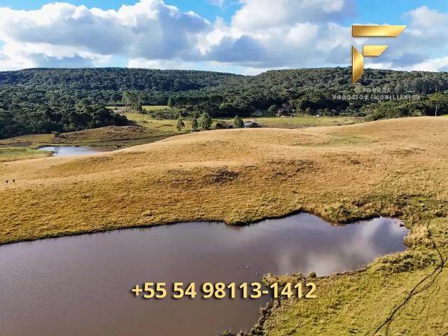 Sítio e chácara venda em Região Geográfica Imediata de Caxias do Sul, Cambara do Sul
