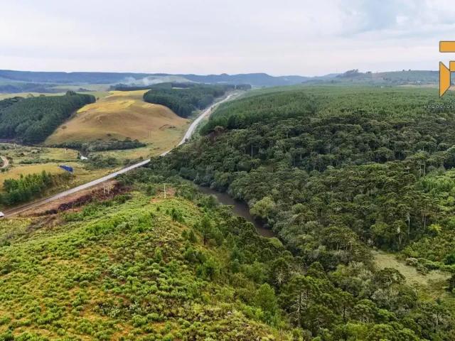 Sítio e chácara venda em Cambará do Sul, Região Geográfica Intermediária de Caxias do Sul