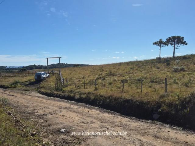 Sítio e chácara venda em Região Geográfica Imediata de Caxias do Sul, Cambara do Sul
