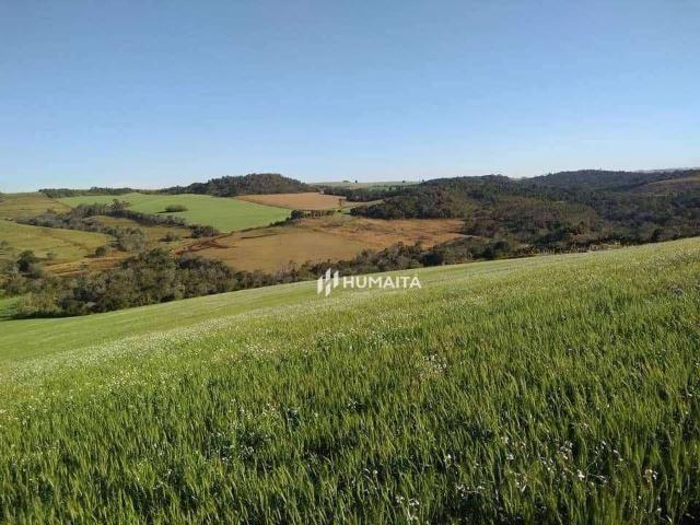 Sítio e chácara venda em Região Geográfica Imediata de Londrina, Cambé