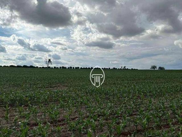 Sítio e chácara venda em Região Geográfica Imediata de Londrina, Cambé