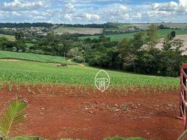 Sítio e chácara venda em Região Geográfica Imediata de Londrina, Cambé