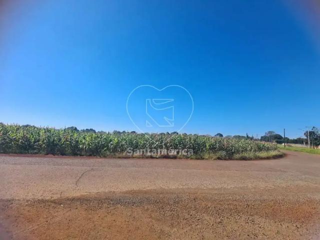 Sítio e chácara venda em Bratislava, Cambé