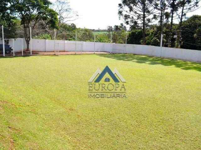 Sítio e chácara venda em Região Geográfica Imediata de Londrina, Londrina