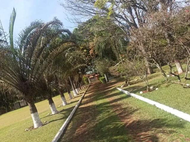 Sítio e chácara venda em Recanto Lago Azul, Cambé