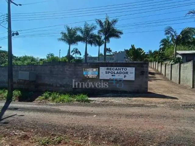 Sítio e chácara venda em Chacaras Santa Maria, Cambé