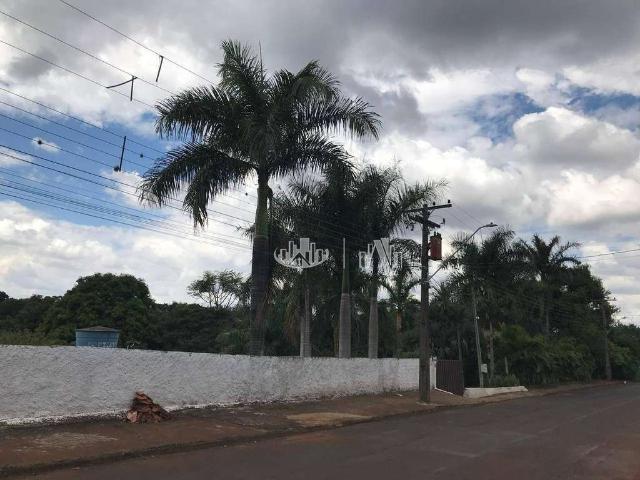 Sítio e chácara venda em Região Geográfica Imediata de Londrina, Cambé