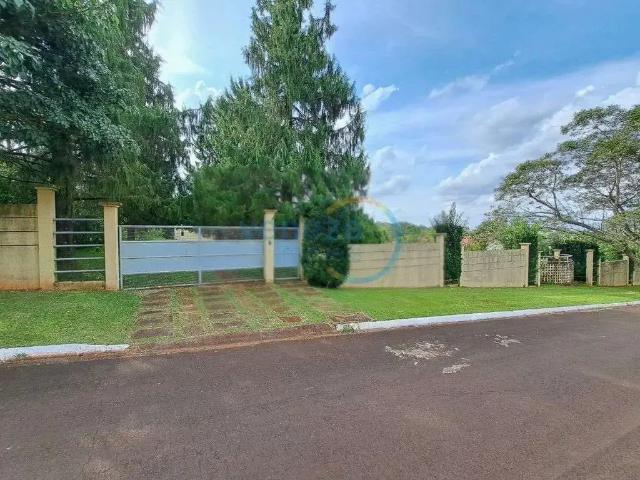 Sítio e chácara venda em Região Geográfica Imediata de Londrina, Cambé