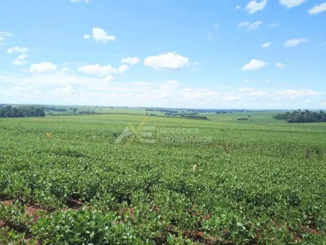 Sítio e chácara venda em Região Geográfica Imediata de Londrina, Cambé