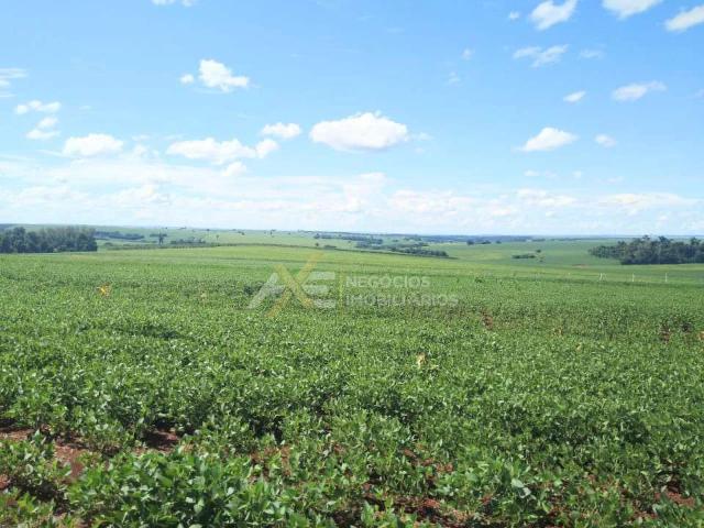 Sítio e chácara venda em Região Geográfica Imediata de Londrina, Cambé