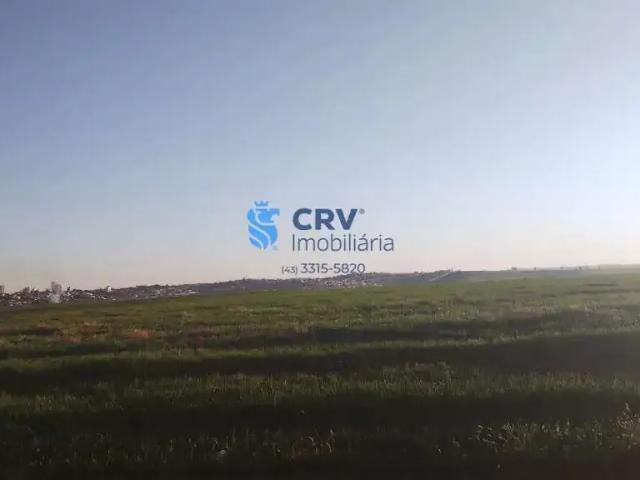 Sítio e chácara venda em Cambé, Região Geográfica Intermediária de Londrina