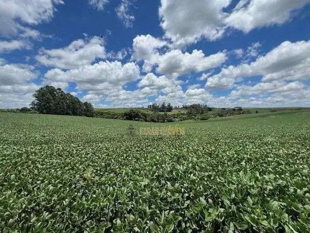 Sítio e chácara venda em Cotia