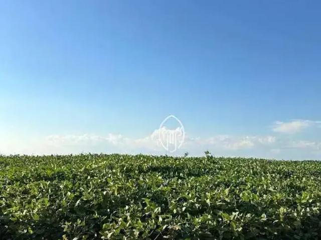 Sítio e chácara venda em Parque Residencial Ana Rosa, Cambé