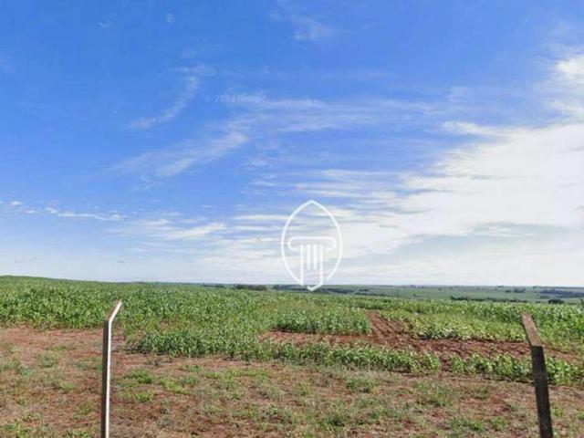 Sítio e chácara venda em Região Geográfica Imediata de Londrina, Cambé