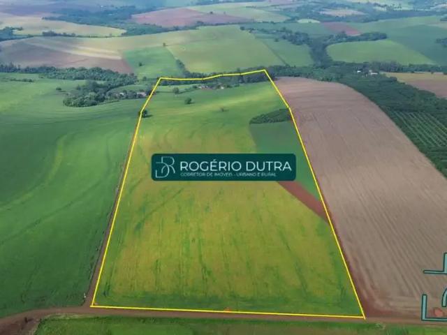 Sítio e chácara venda em Região Geográfica Imediata de Londrina, Londrina