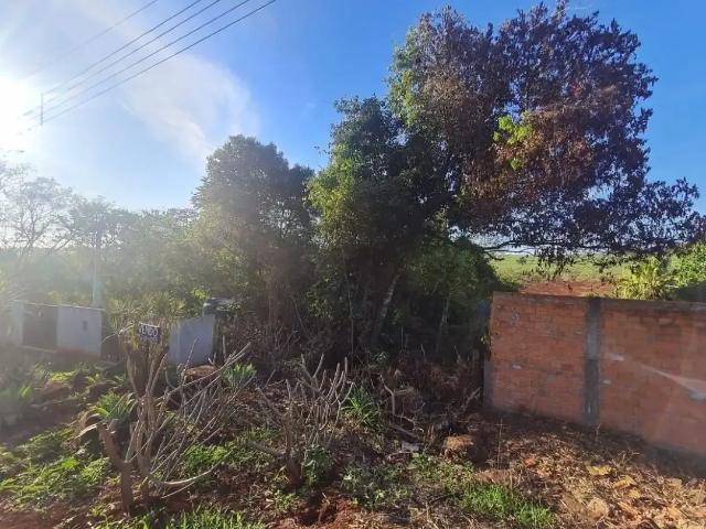 Sítio e chácara venda em Região Geográfica Imediata de Londrina, Cambé