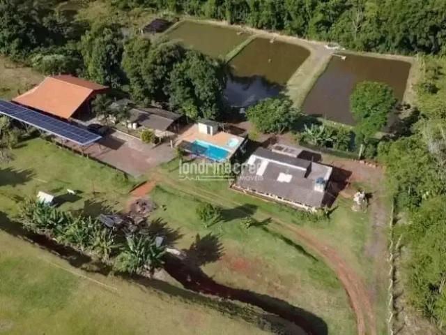 Sítio e chácara venda em Região Geográfica Imediata de Londrina, Cambé