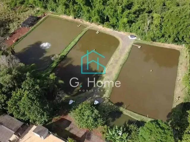 Sítio e chácara venda em Região Geográfica Imediata de Londrina, Cambé