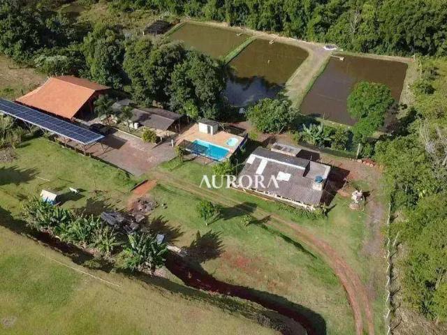 Sítio e chácara venda em Centro, Cambé