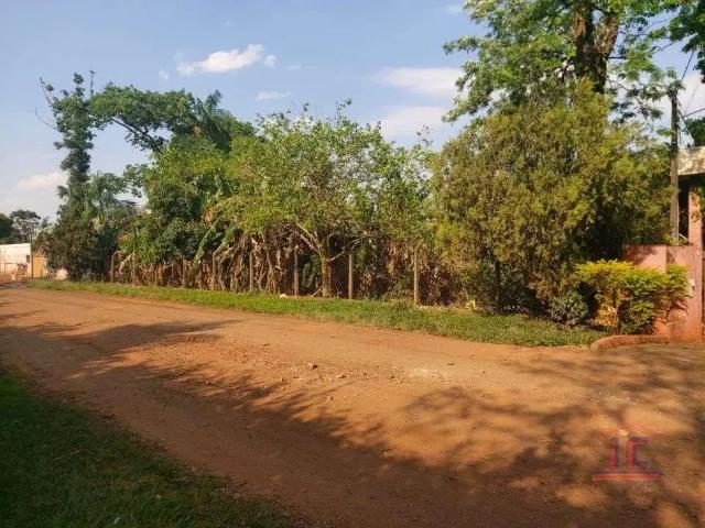 Sítio e chácara venda em Região Geográfica Imediata de Londrina, Cambé