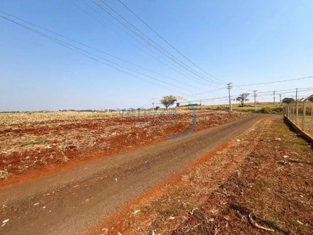 Sítio e chácara venda em Cambé, Região Geográfica Intermediária de Londrina