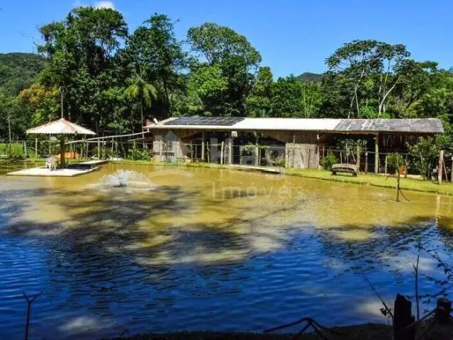 Sítio e chácara venda em Centro, Camboriú