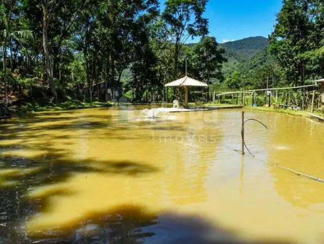 Sítio e chácara venda em Região Geográfica Imediata de Itajaí, Camboriú