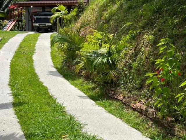 Sítio e chácara venda em Região Geográfica Imediata de Itajaí, Camboriú