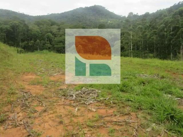 Sítio e chácara venda em Região Geográfica Imediata de Itajaí, Camboriú