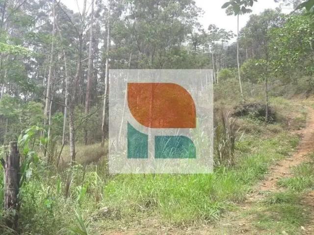 Sítio e chácara venda em Região Geográfica Imediata de Itajaí, Camboriú