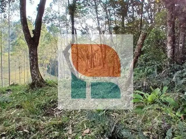 Sítio e chácara venda em Região Geográfica Imediata de Itajaí, Camboriú