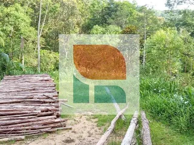 Sítio e chácara venda em Região Geográfica Imediata de Itajaí, Camboriú