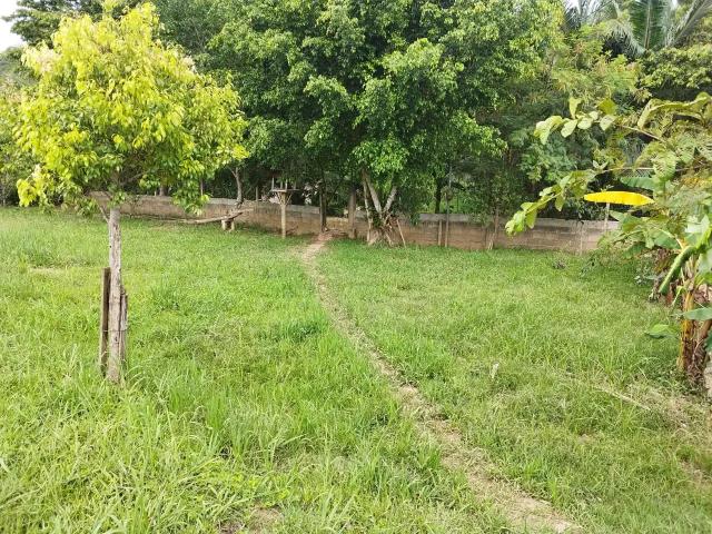 Sítio e chácara venda em Região Geográfica Imediata de Itajaí, Camboriú