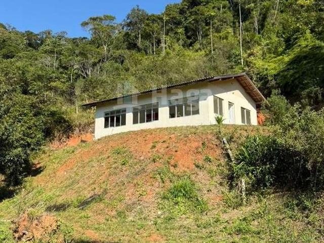 Sítio e chácara venda em Centro, Camboriú