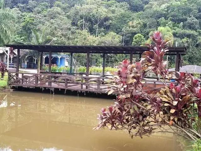 Sítio e chácara venda em Região Geográfica Imediata de Itajaí, Camboriú