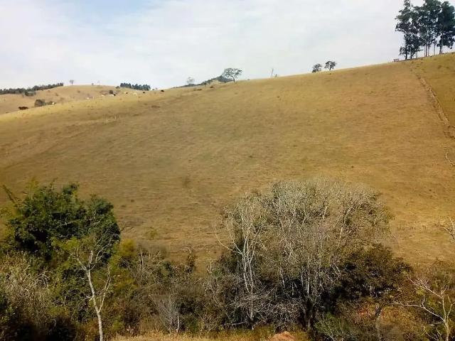 Sítio e chácara venda em Região Geográfica Imediata de Pouso Alegre, Cambuí