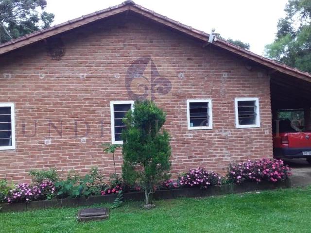 Sítio e chácara venda em Centro, Cambuí