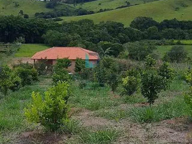 Sítio e chácara venda em Região Geográfica Imediata de Pouso Alegre, Cambuí