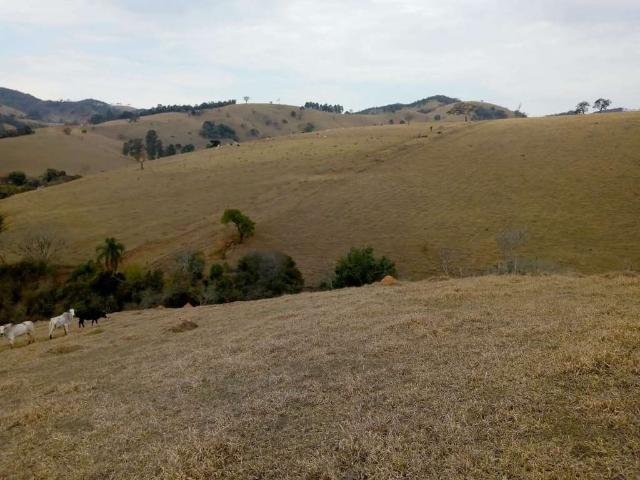 Sítio e chácara venda em Capelinha, Região Sudeste