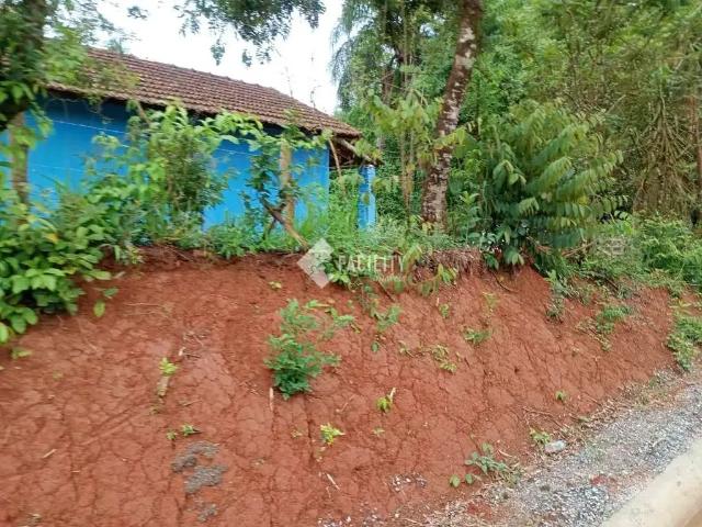 Sítio e chácara venda em Região Geográfica Imediata de Pouso Alegre, Cambuí