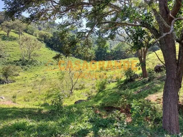 Sítio e chácara venda em Cambuí, Região Geográfica Intermediária de Pouso Alegre