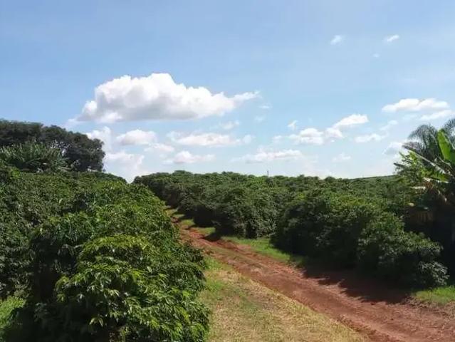 Sítio e chácara venda em Região Geográfica Imediata de Três Corações, Campanha