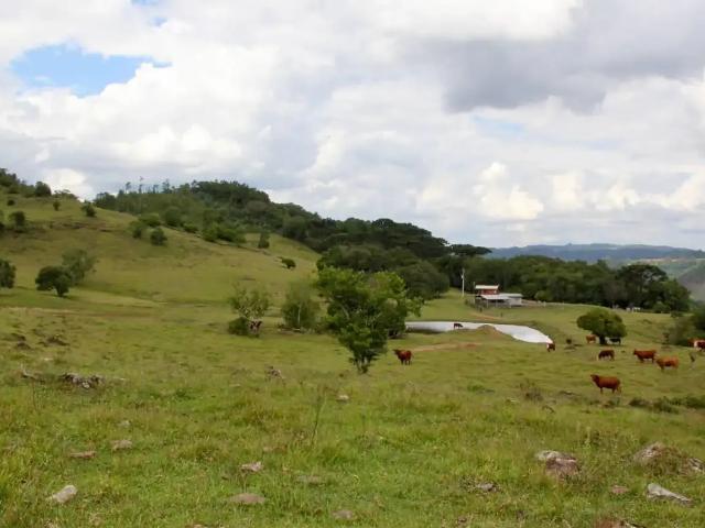 Sítio e chácara venda em Região Geográfica Imediata de Caxias do Sul, Campestre da Serra