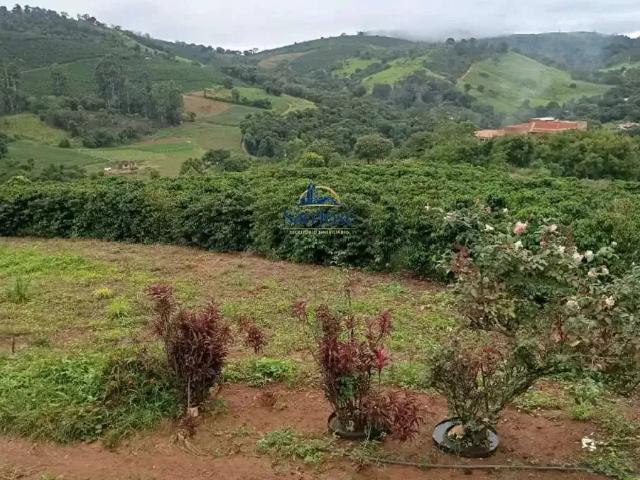 Sítio e chácara venda em Região Geográfica Imediata de Porto Calvo-São Luís do Quitunde, Campestre