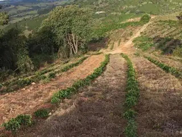 Sítio e chácara venda em Região Geográfica Imediata de Poços de Caldas, Campestre